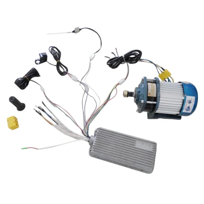 Datai 2000W Gear Motor and Controller Easy
