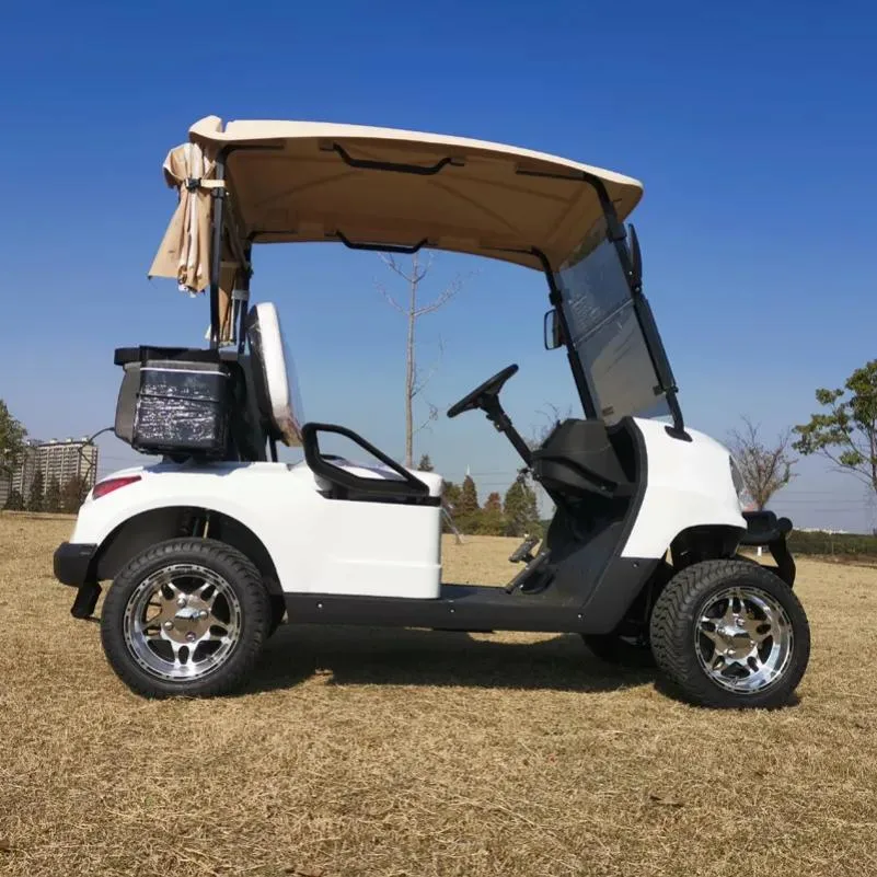 CE Approved 2 Seat Battery Powered Electric Aluminum Golf Cart and Controller
