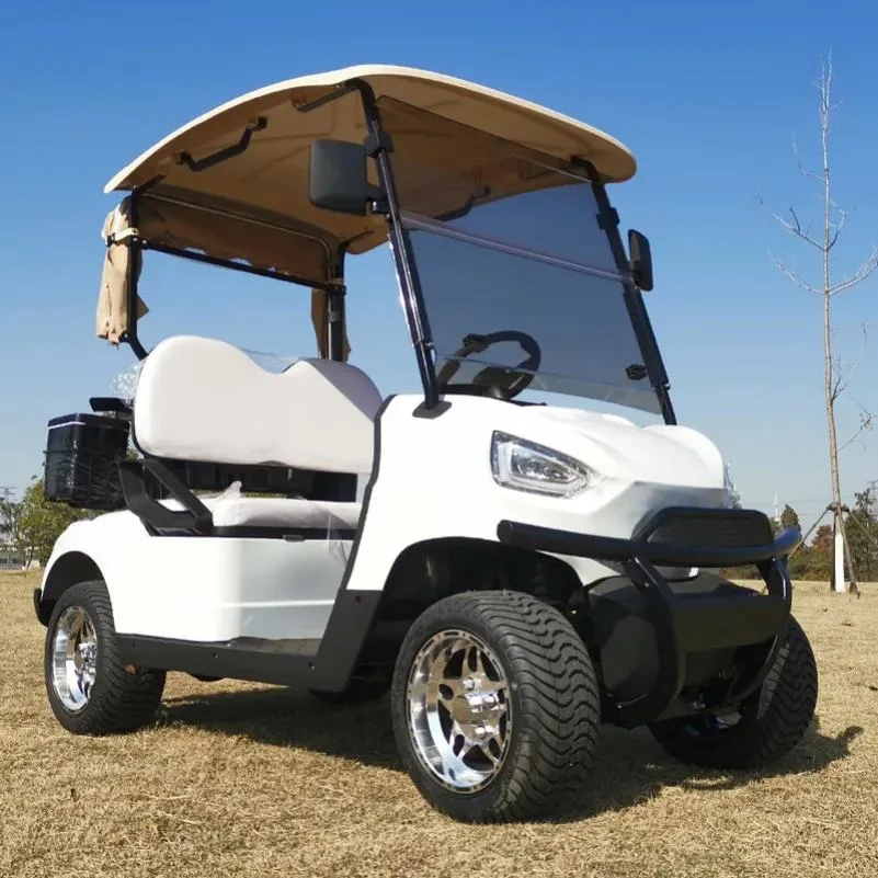 CE Approved 2 Seat Battery Powered Electric Aluminum Golf Cart and Controller
